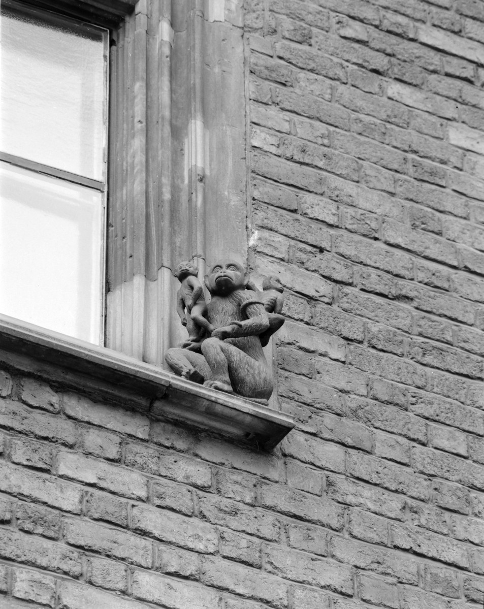 Ratusz - elewacja wsch. maszkaron , skan 1