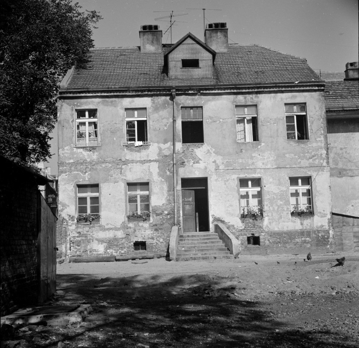 kamienica - elewacja od podwórza, skan 1