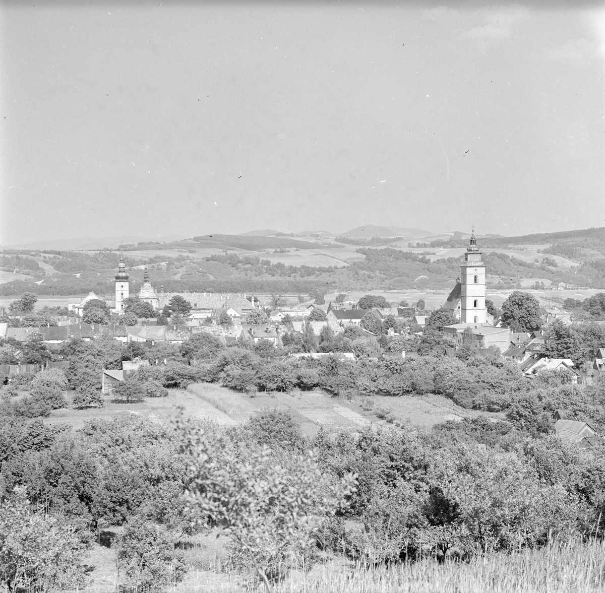 panorama miasta z klasztorem Klasysek /kościół pw. Święcej Trójcy i św. Klary/ oraz kościołem św. Elżbiety Węgierskiej, skan 1