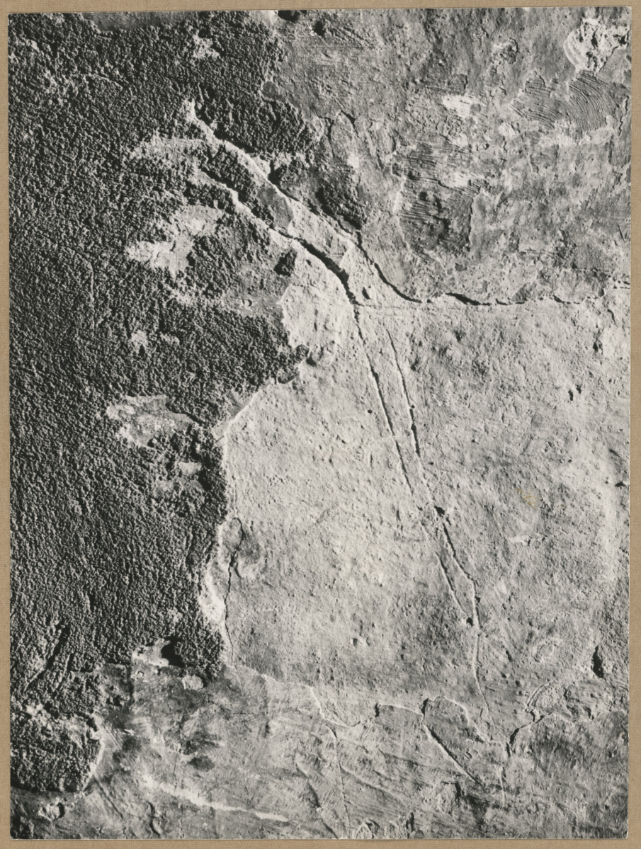 Kaplica Firlejów - fragment ściany , skan 1
