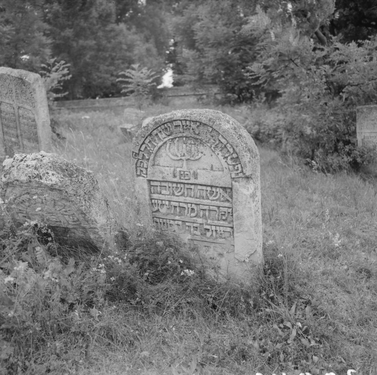 Cmentarz, Kirkut - macewy, skan 1