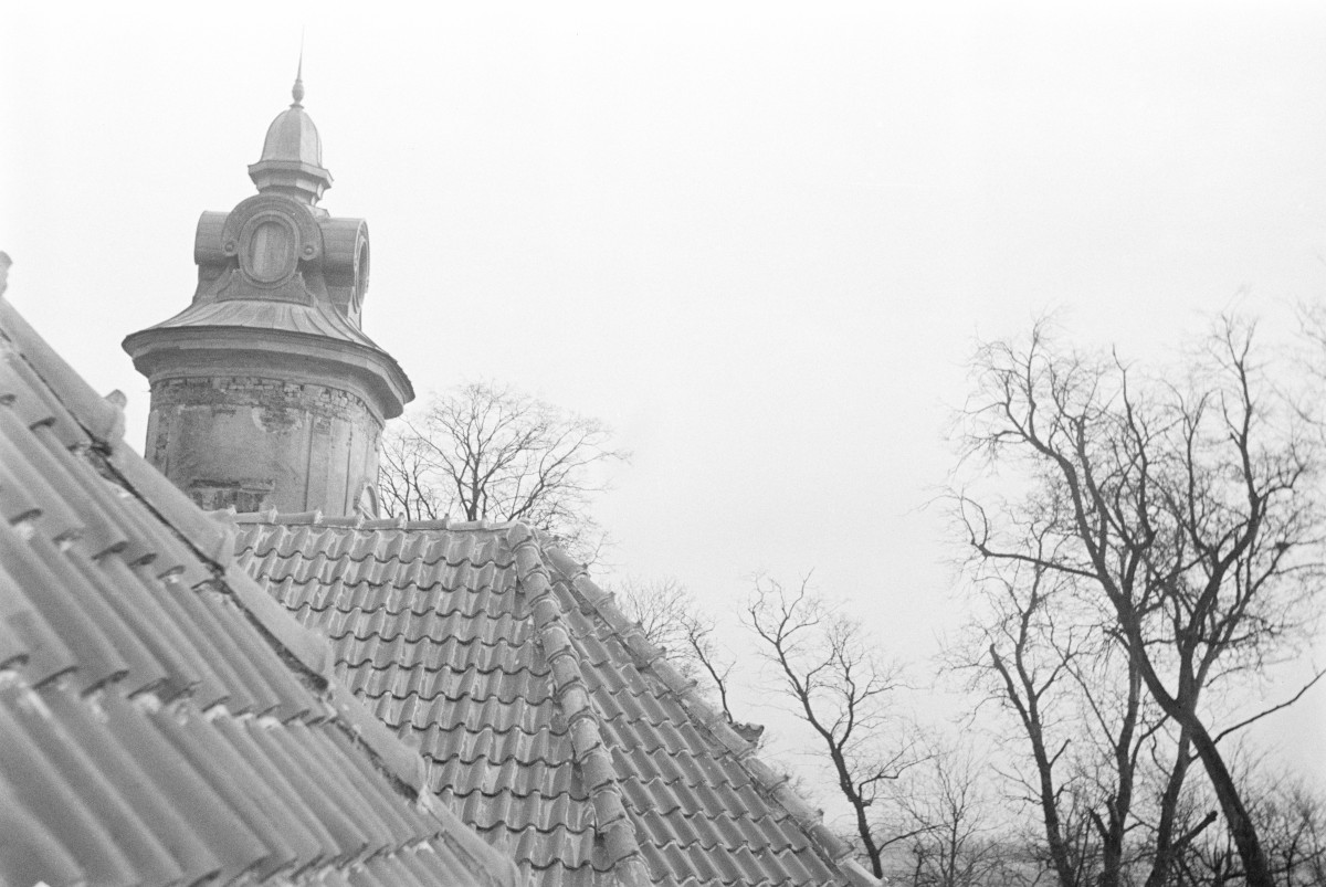 pałac - dach, skan 1