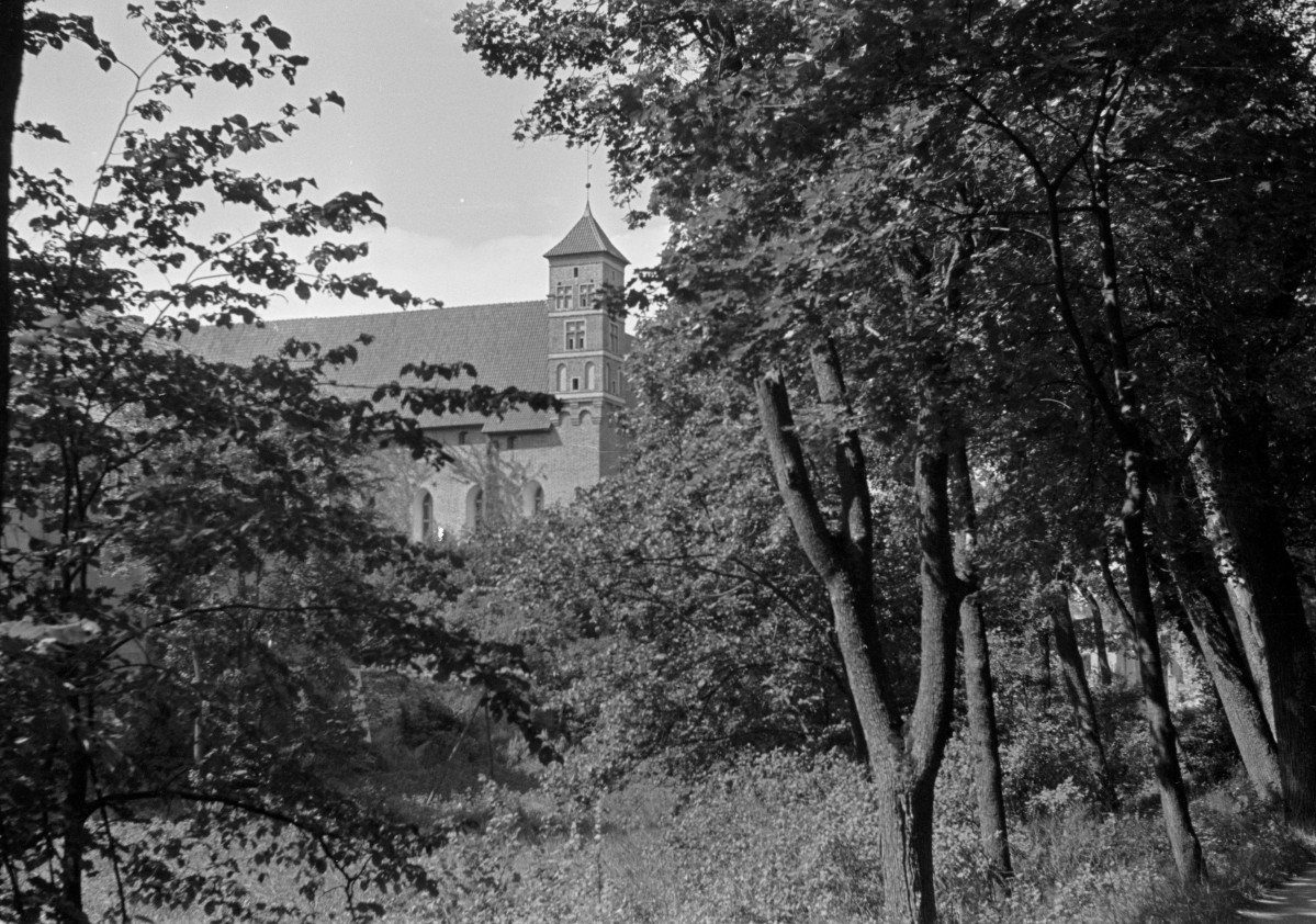 zamek - fragment elewacji, skan 1