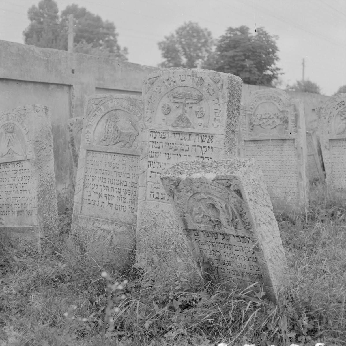 Cmentarz, Kirkut - macewy, skan 1