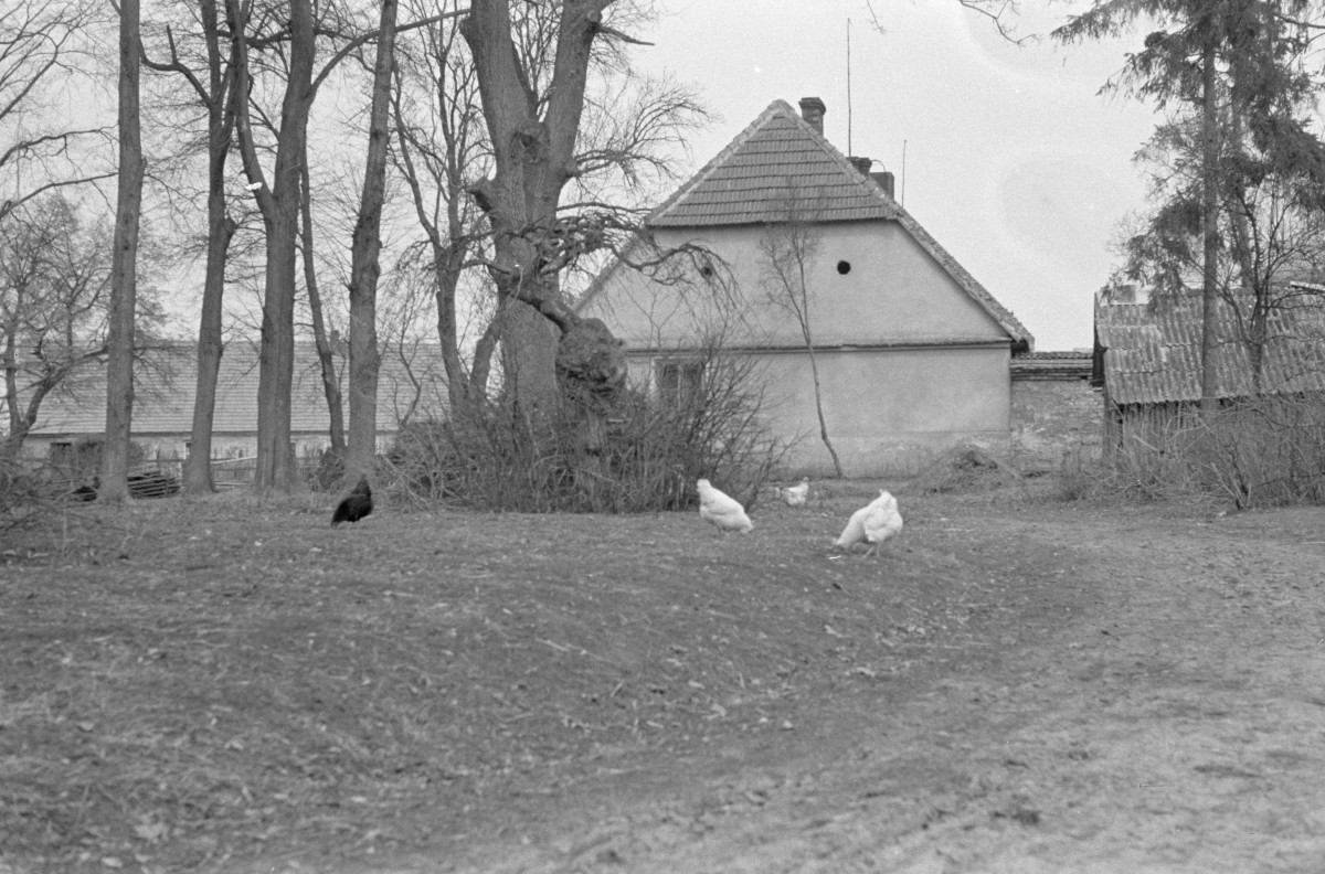 pałac - park krajobrazowy - budynek gospodarczy - widok od strony szczytu, skan 1