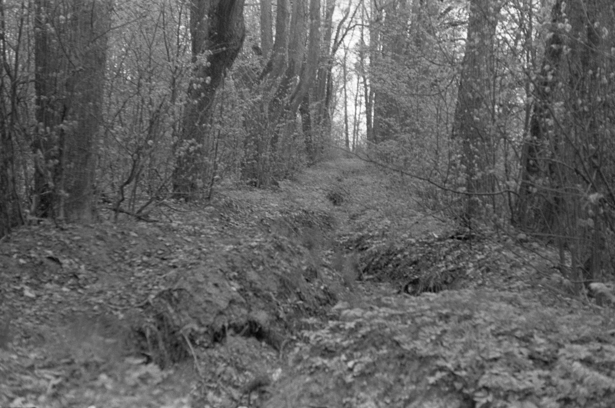 park - aleja, skan 1
