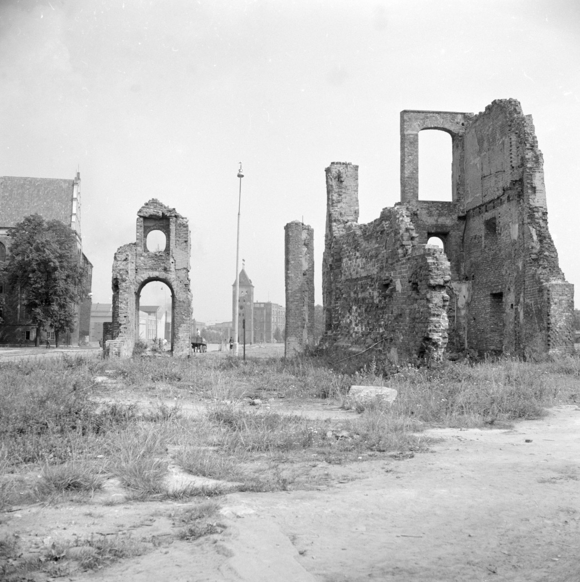 kamienica, ul. Wigilijna 18 (reszty) - widok od południowa, skan 1