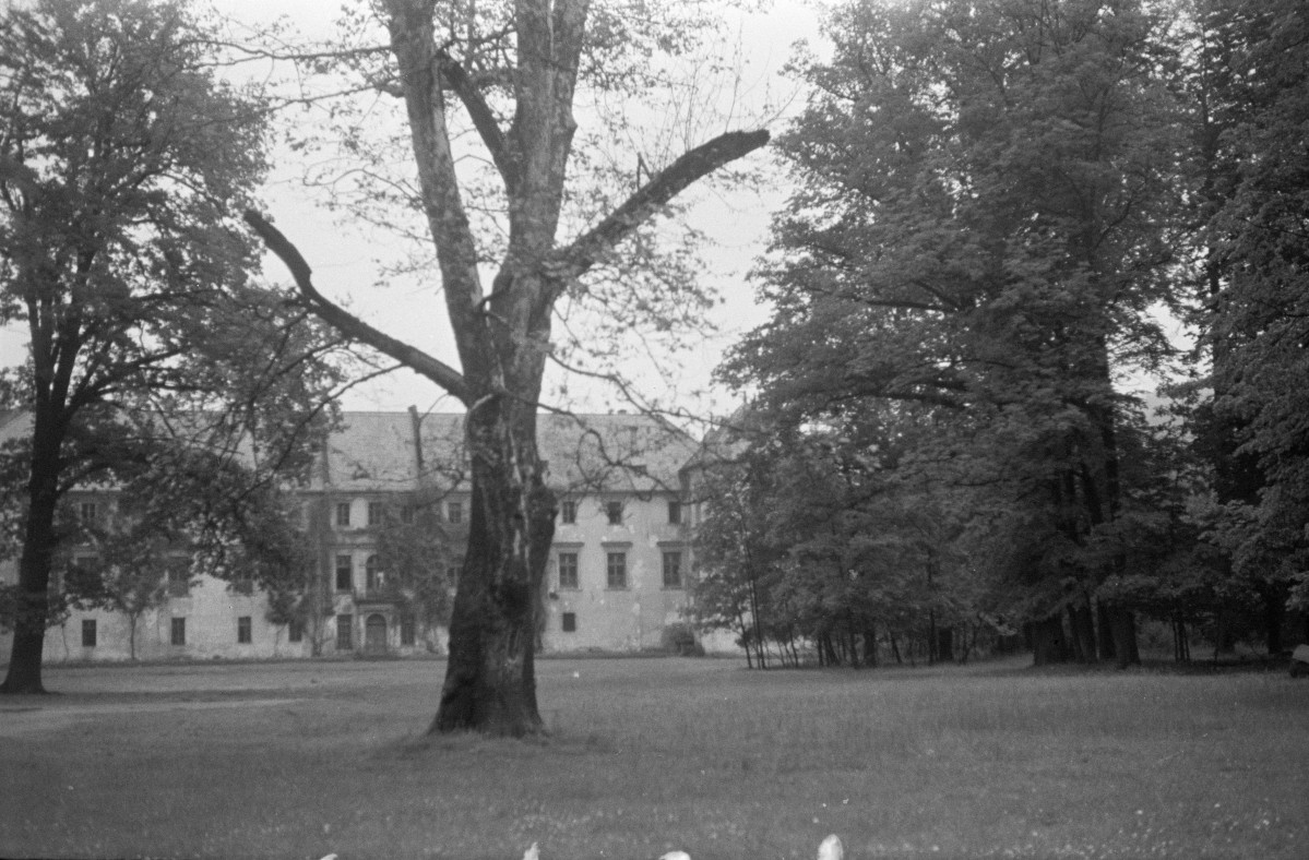 zamek Komorowskich - elewacja od strony parku, skan 1