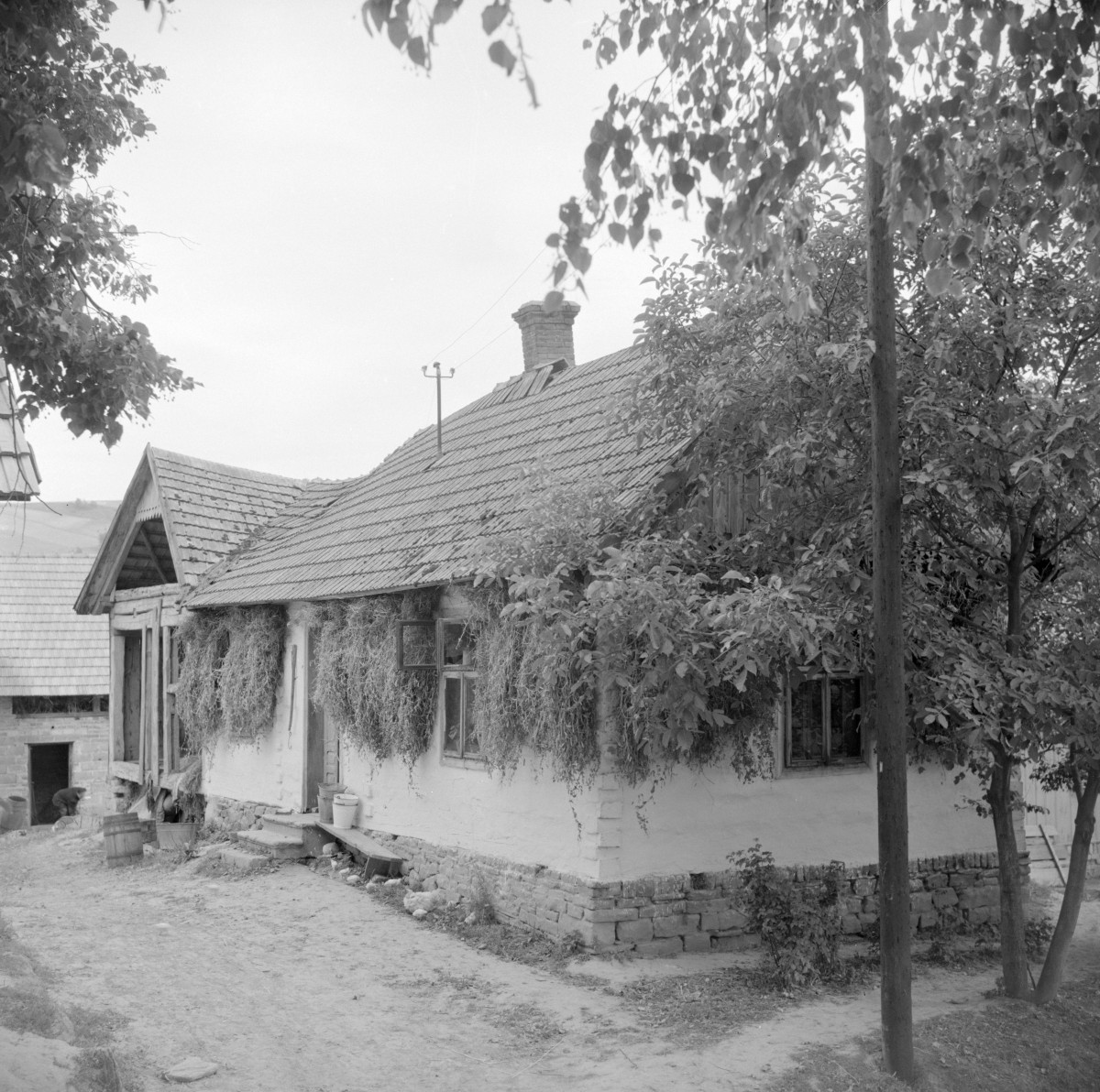 dom - elewacja, skan 1