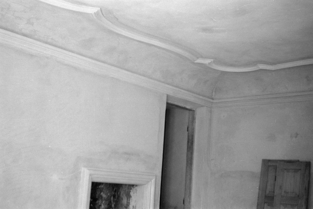 pałac Bielińskich - fragment wnętrza, sufit, , skan 1