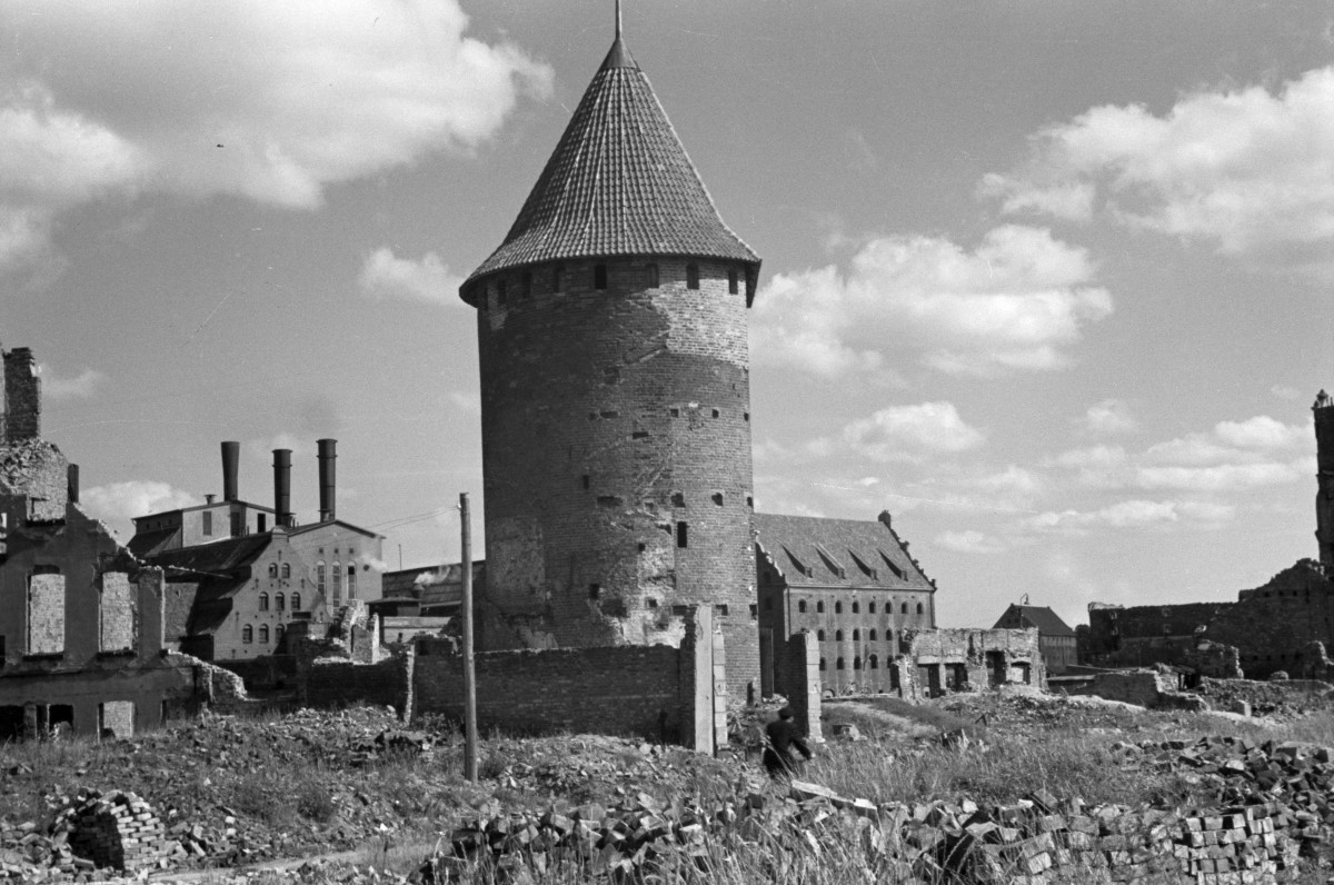 Baszta Łabędź - widok ogólny, skan 1
