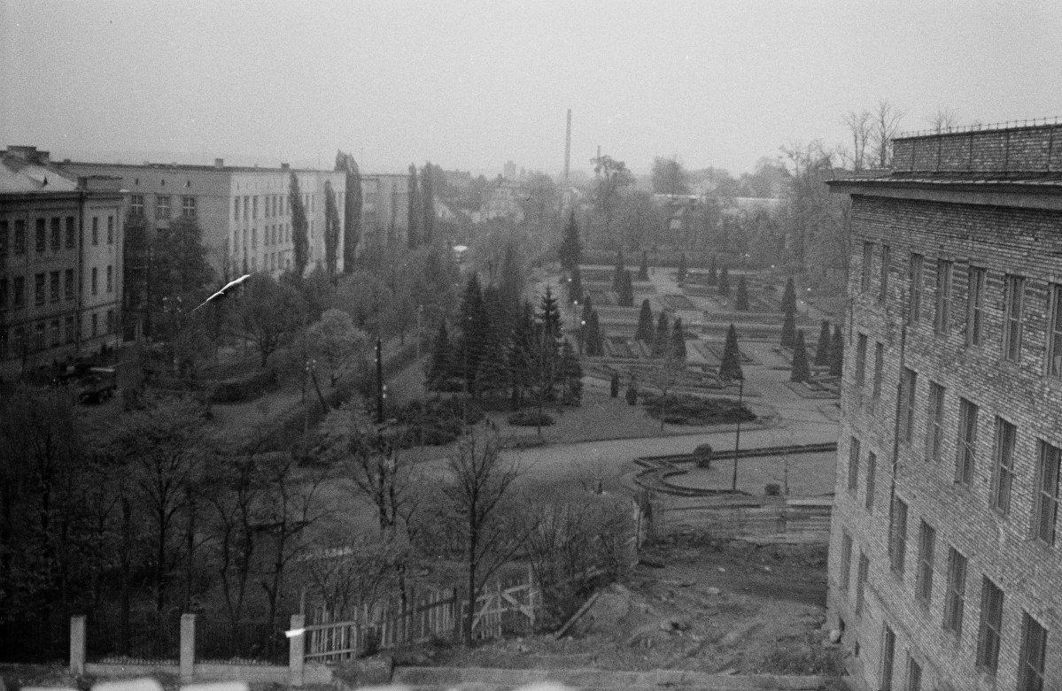 pałac branickich - park, skan 1