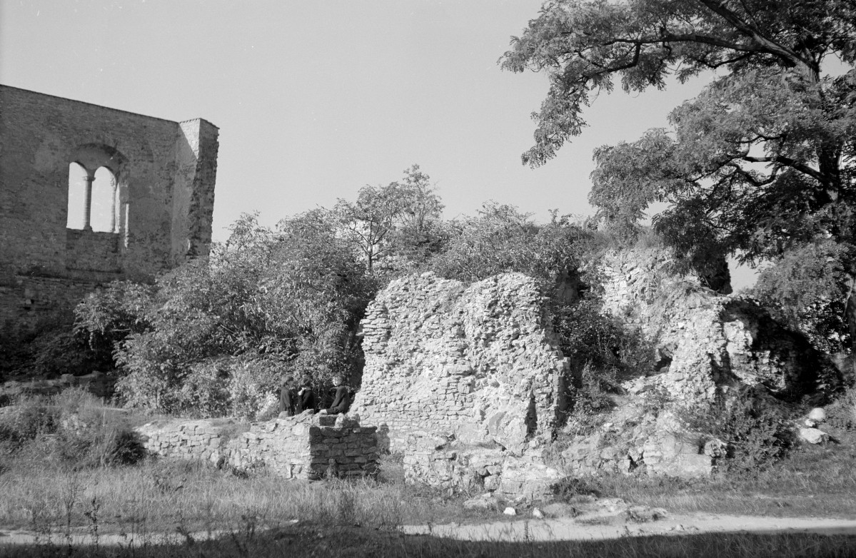 opactwo cysterskie - pozostałości klasztoru strona północna, skan 1