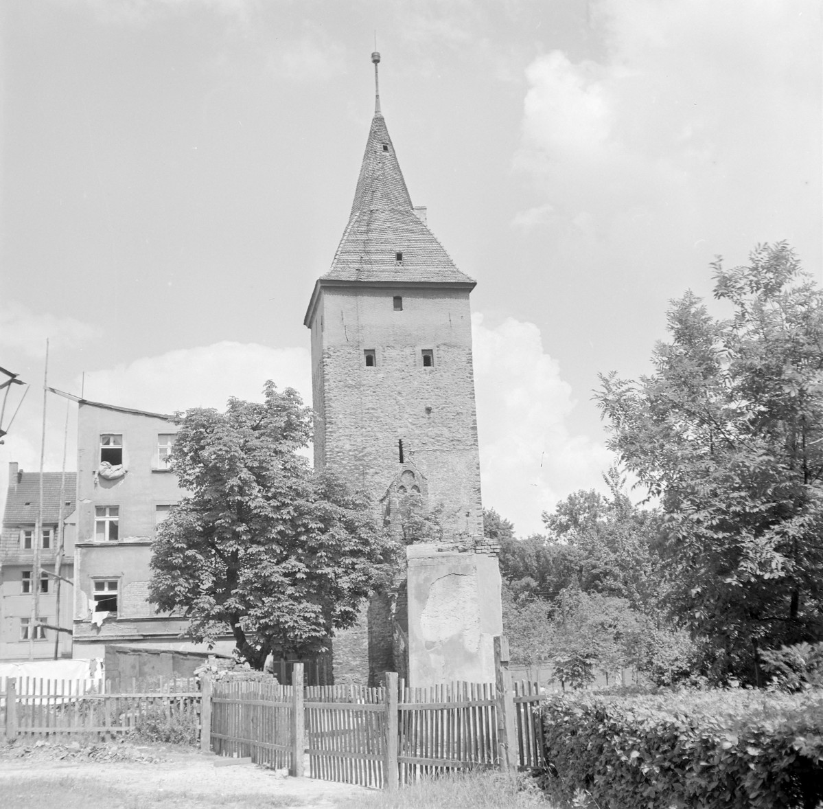 Wieża Bramy Dolnej w Żarach – relikt średniowiecznych fortyfikacji miejskich. Budowla ma masywną, zwartą bryłę o planie zbliżonym do czworoboku. Wieżę wieńczy wysoki, stożkowy dach pokryty dachówką, zwieńczony smukłą iglicą z kulą., skan 1