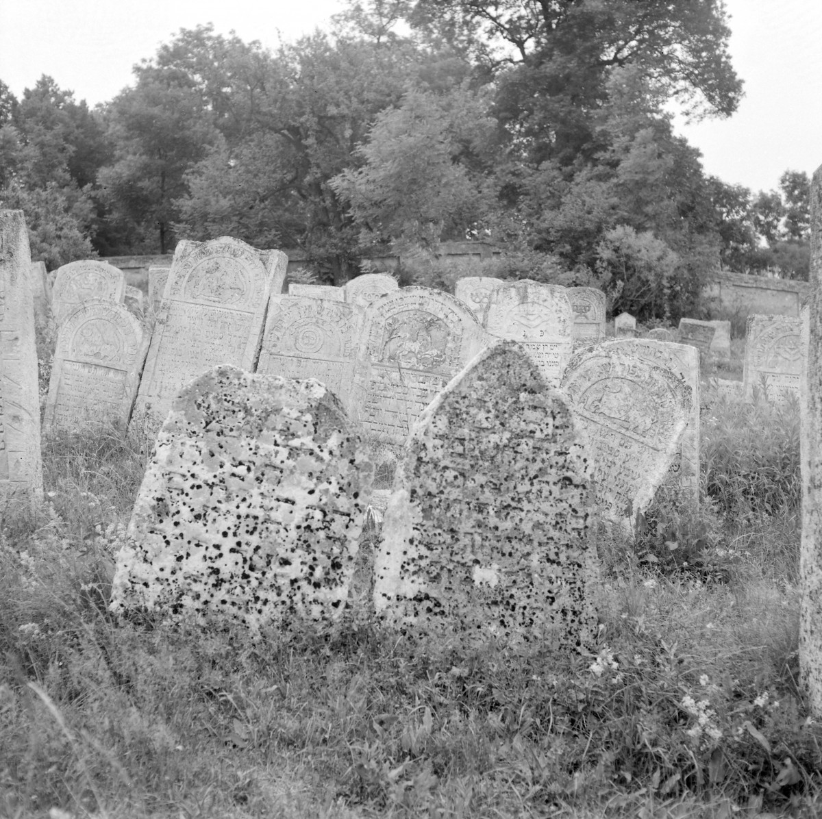 Cmentarz, Kirkut - macewy, skan 1