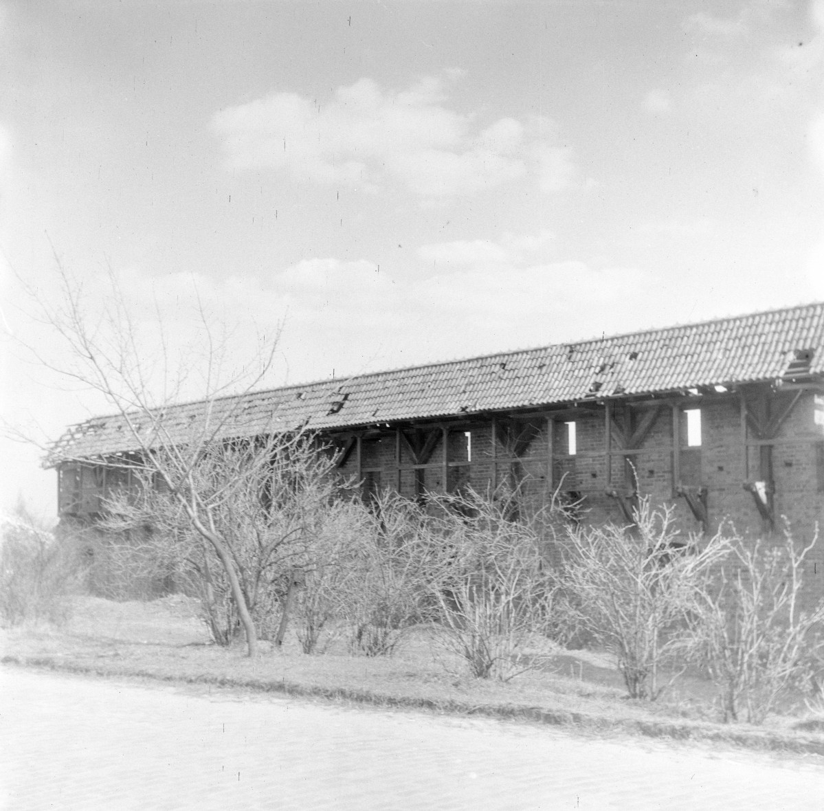 zamek krzyżacki - Podzamcze - fragment muru, skan 1
