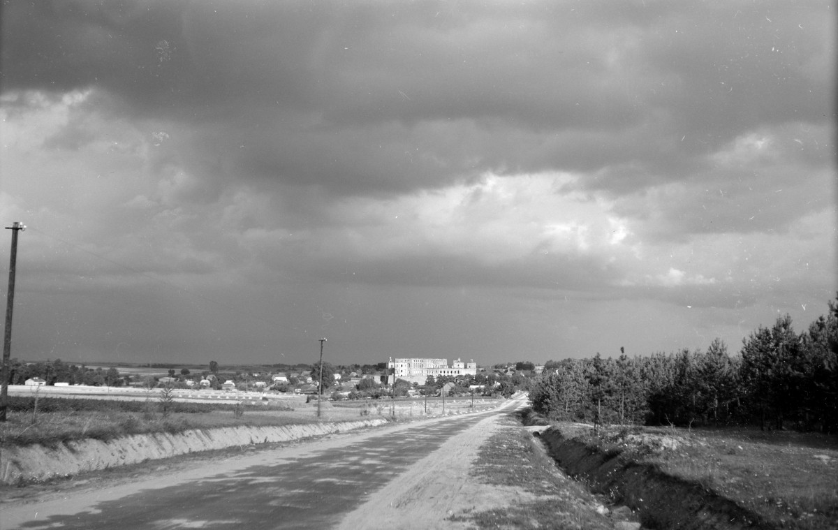 Zamek Krzyżtopór - widok ogólny od zachodu, skan 1