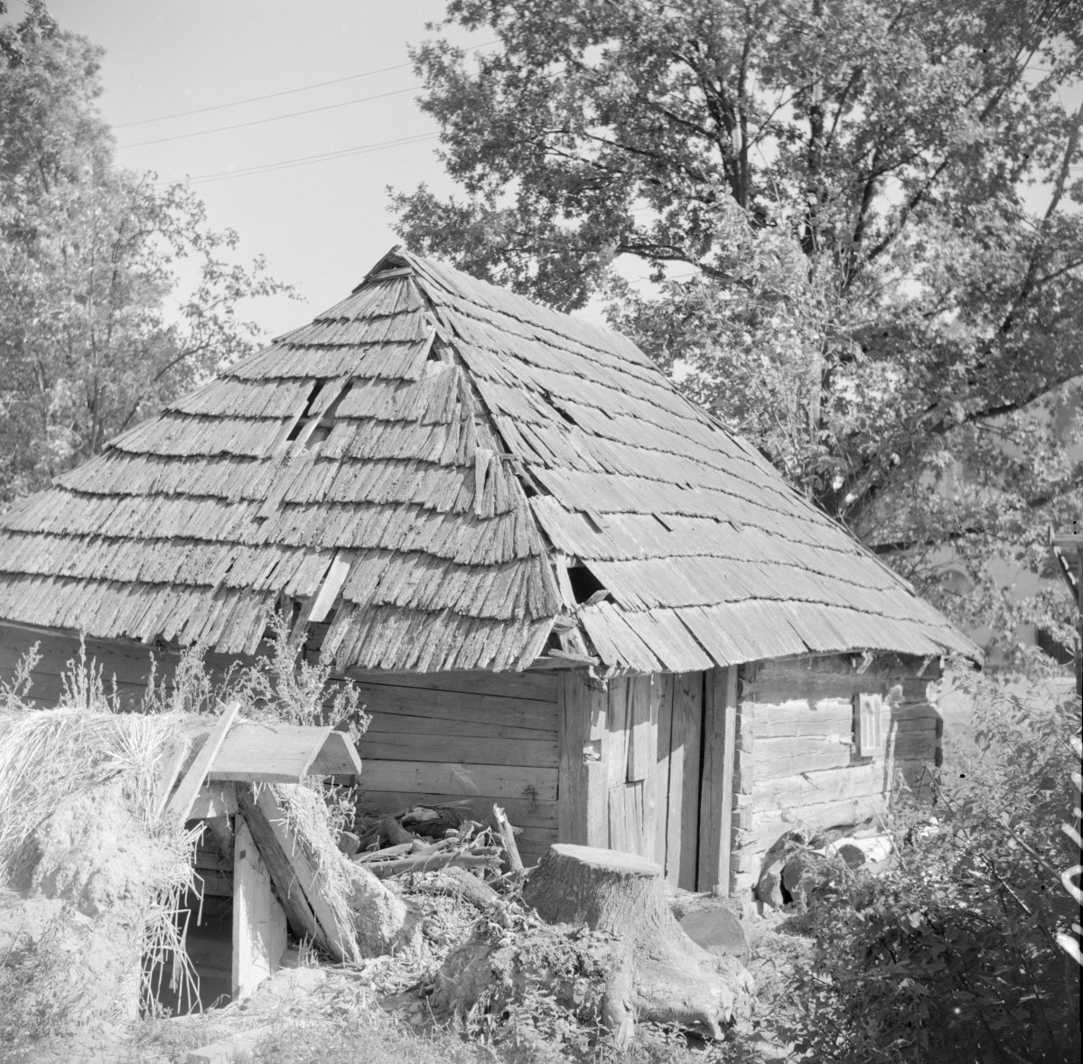 stajnia pasterska - konstrukcja zrębowa, elewacja, skan 1