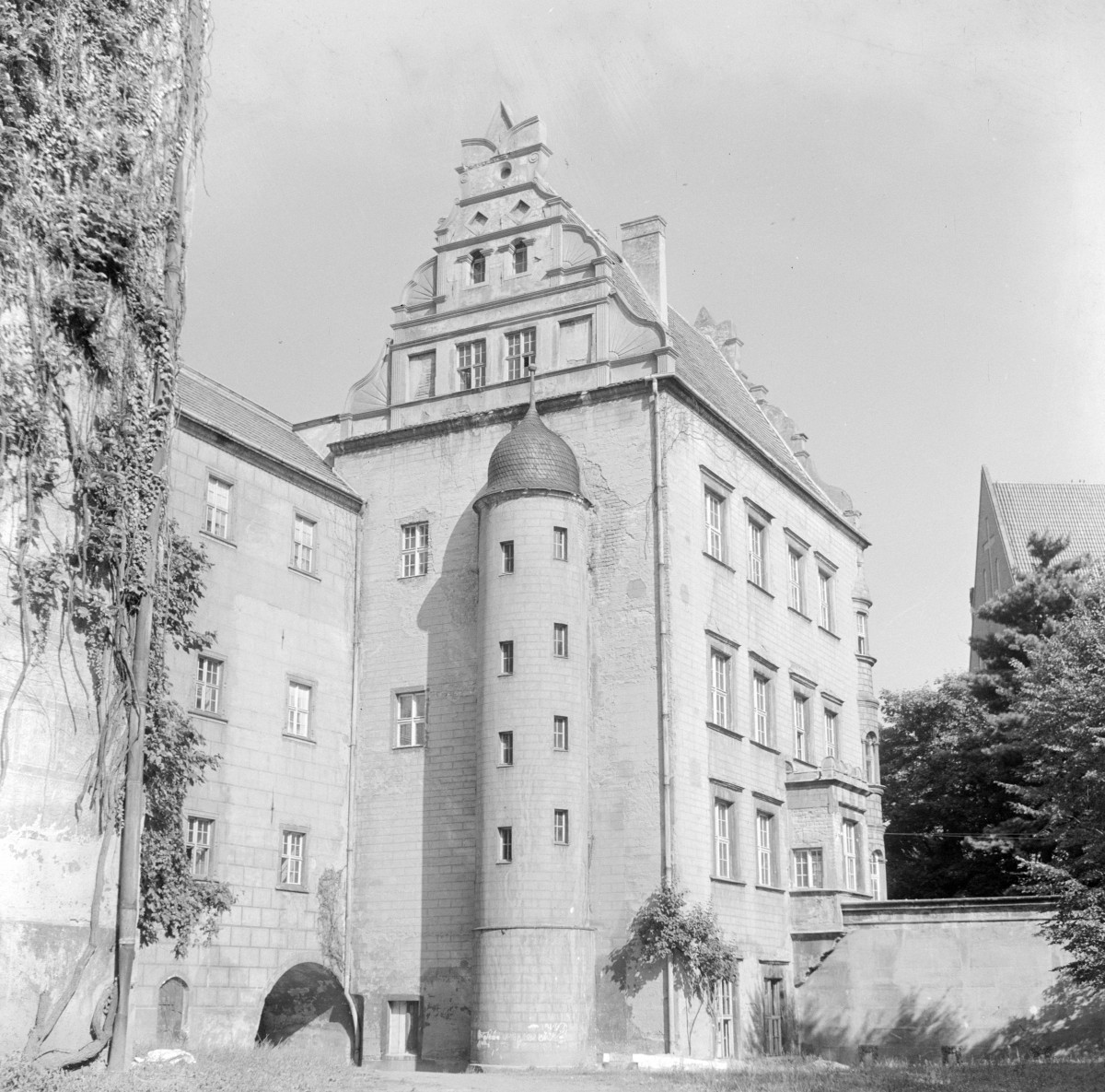 zamek - elewacja, skan 1