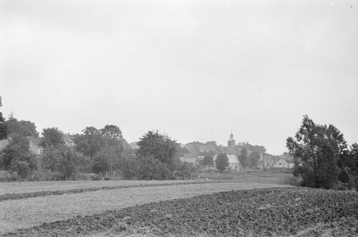 panorama miasta - dominanta, skan 1
