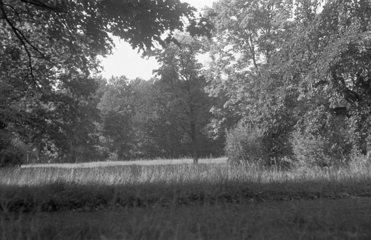 park szczytnicki - fragment, skan 1