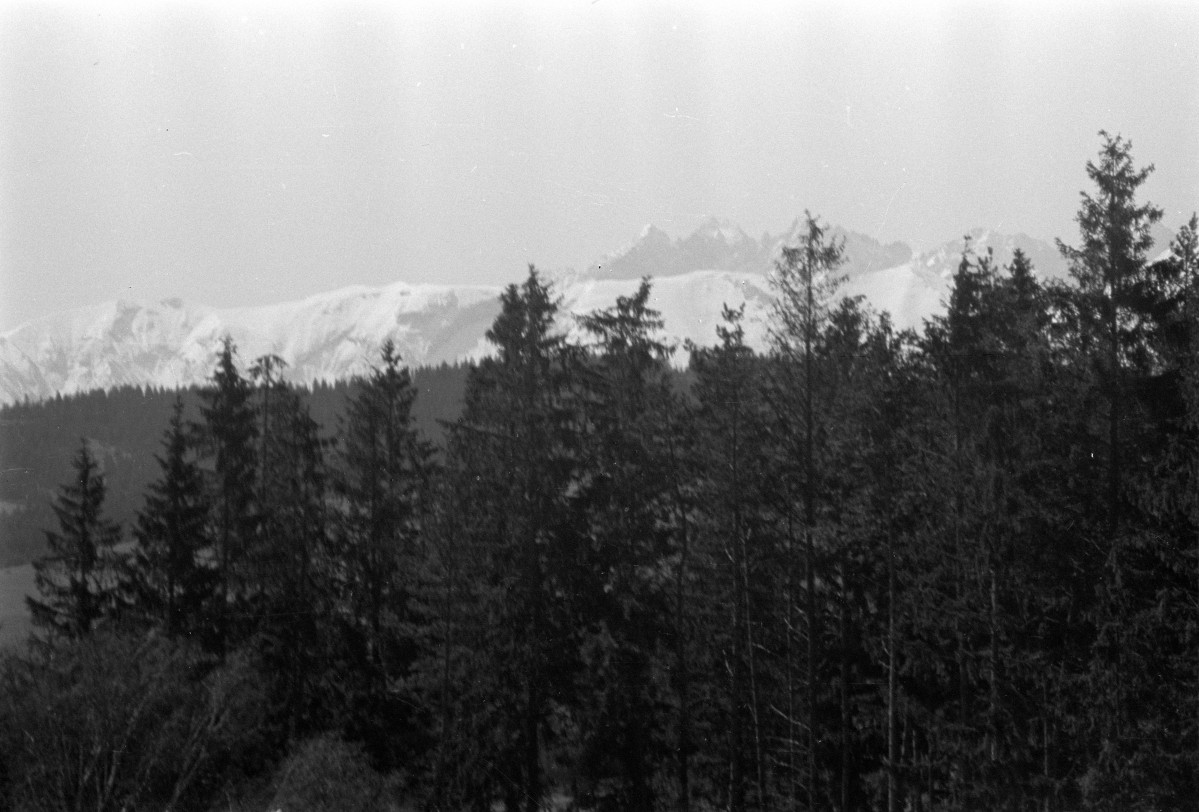widok na Tatry, skan 1