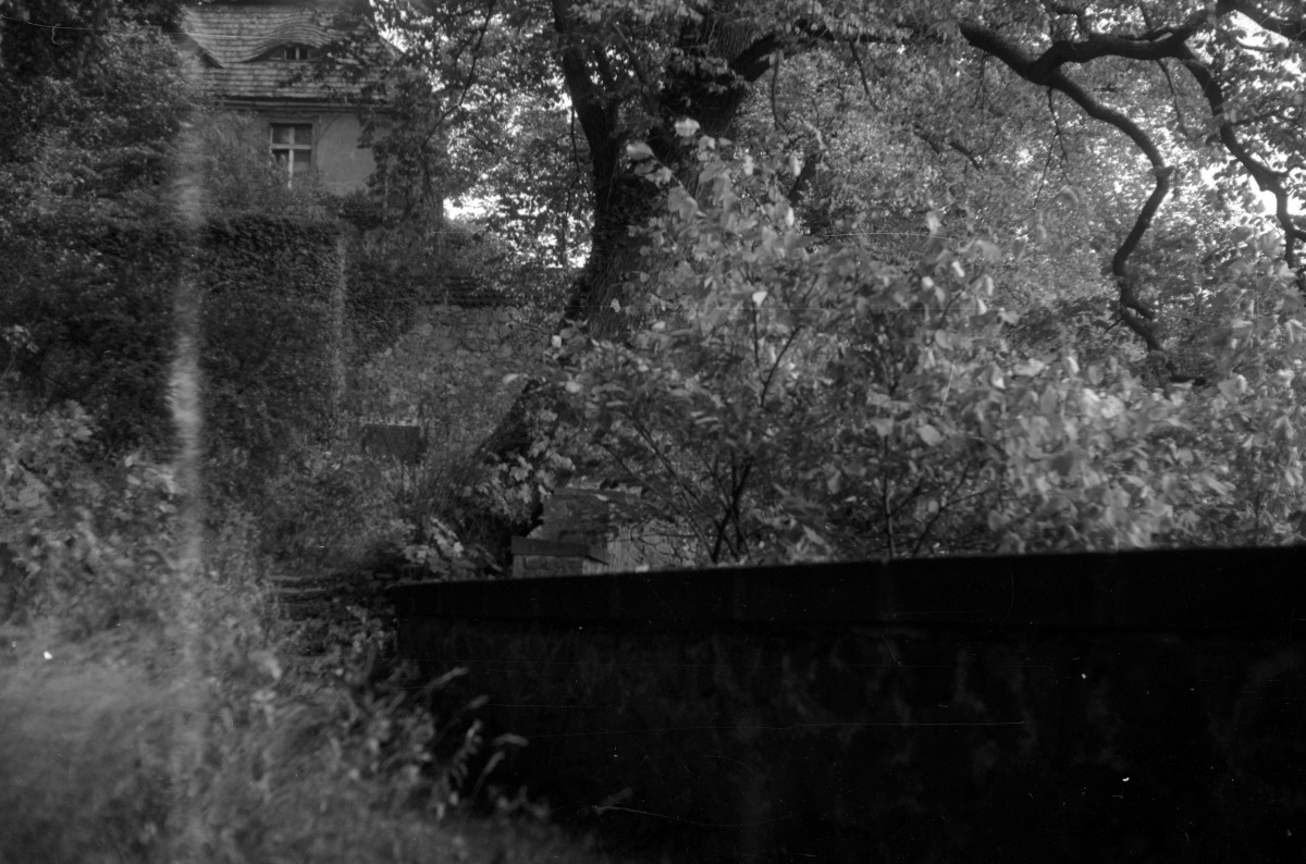 zamek Książ - elewacja - widok od strony ogrodu - fragment, skan 1