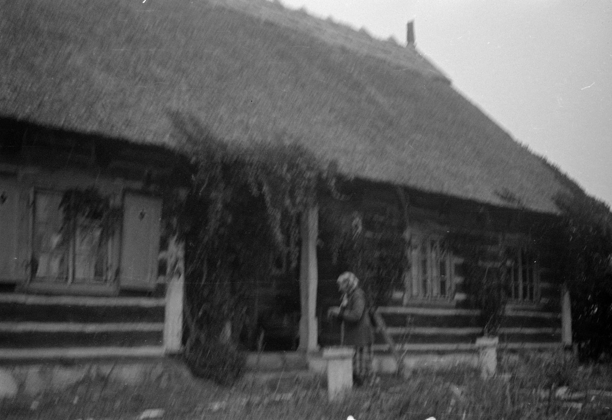 skansen - chałupa, skan 1