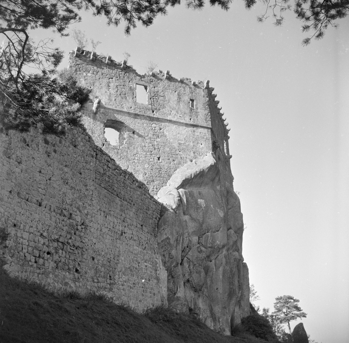 ruina Zamku Kamieniec - fragment, skan 1