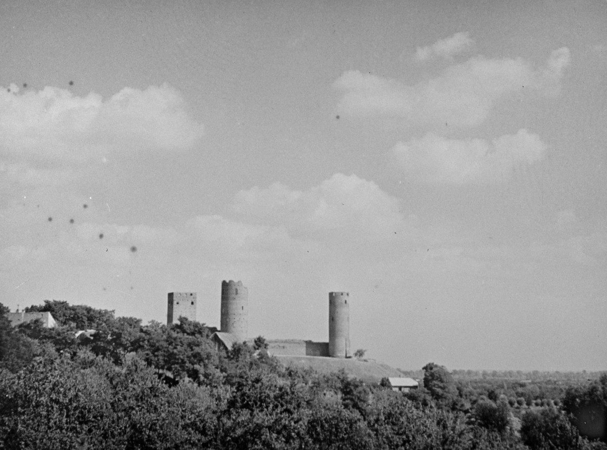zamek - widok ogólny, skan 1