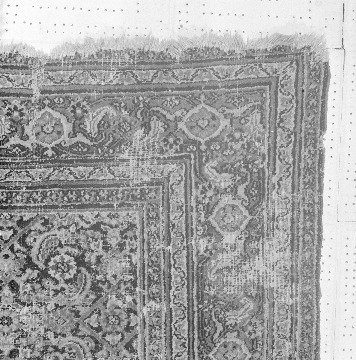 Muzeum Narodowe - Kobierzec. Fragment bordiury narożnika., skan 1