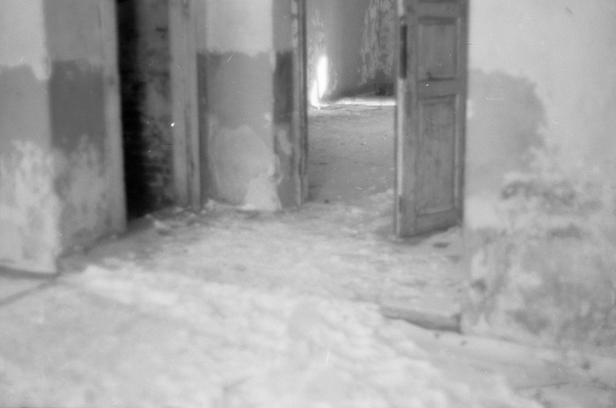 dwór Rudzińskich - wnętrze - parter - hall - drzwi do salonu - fragment, skan 1