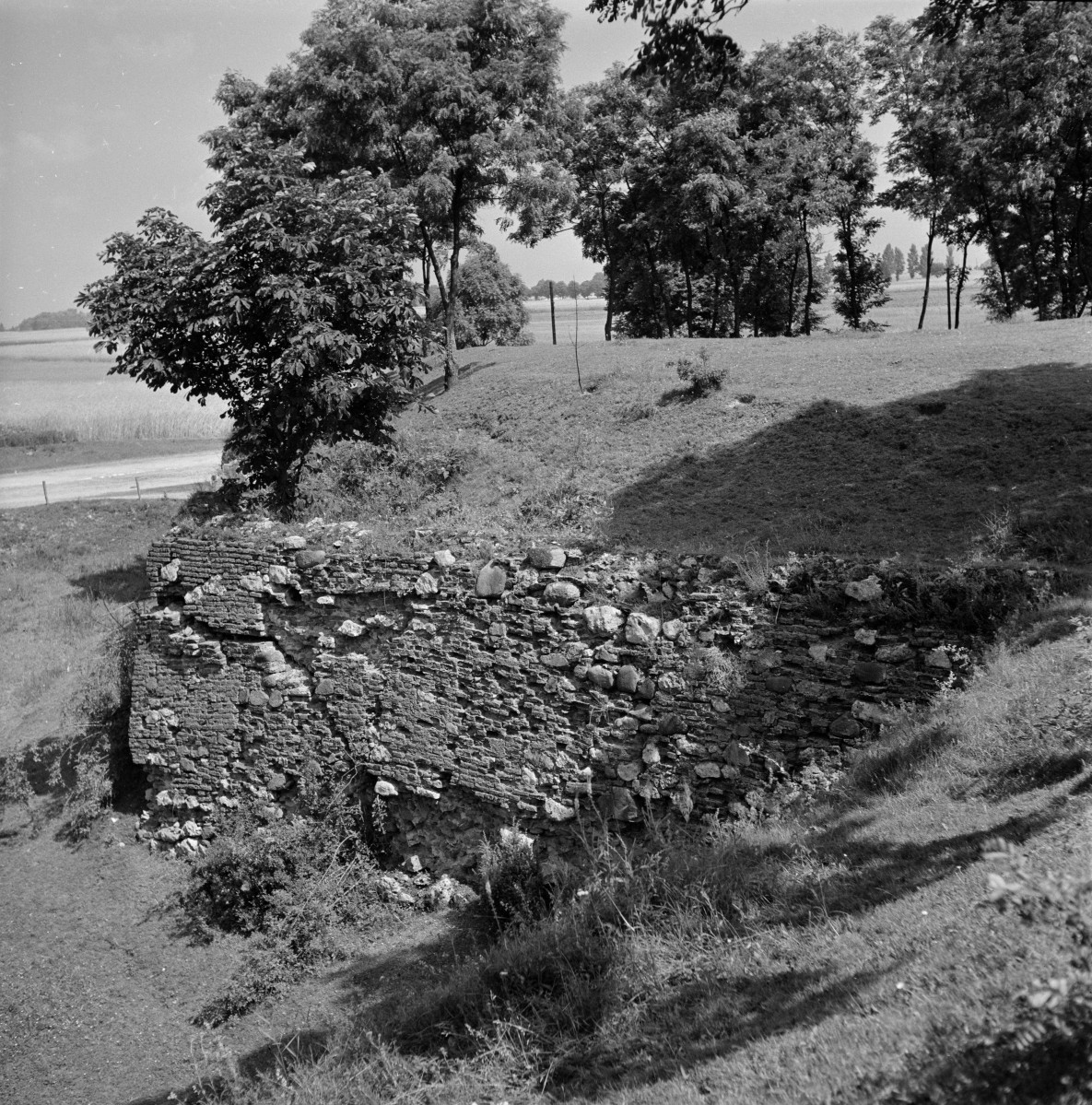 zamek bastionowy - fragmenty murów obronnych, skan 1