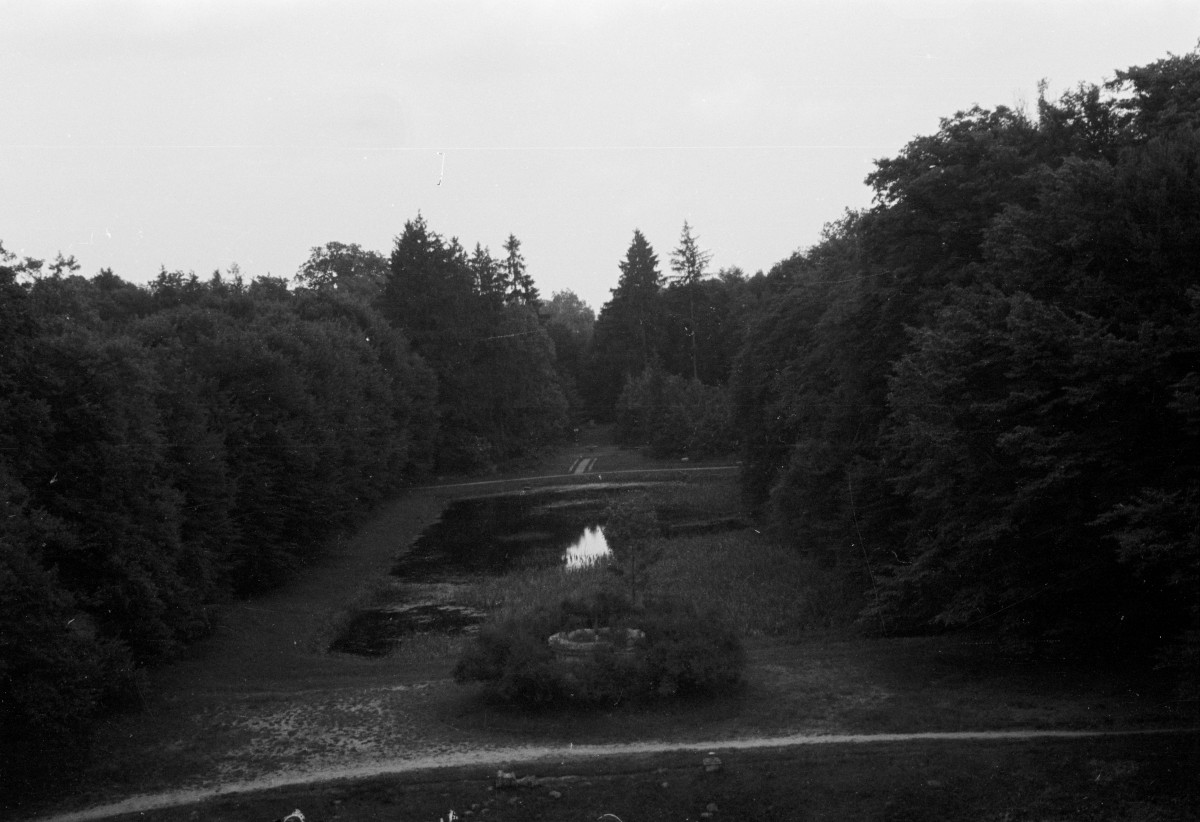 pałac - fragment parku, skan 1