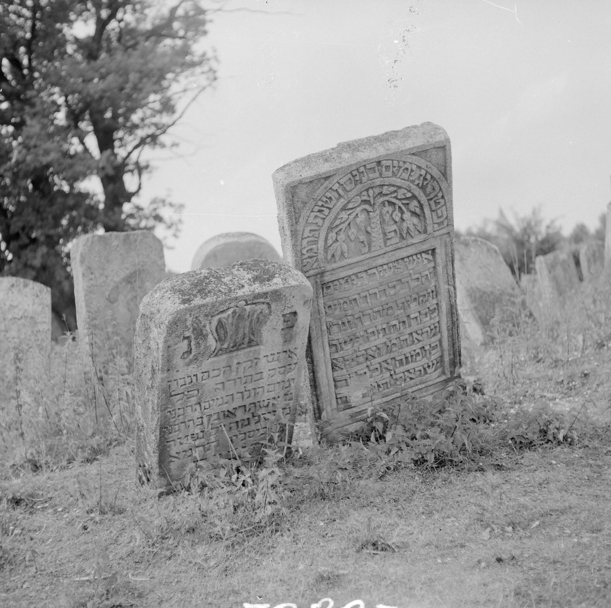 Cmentarz, Kirkut - macewy, skan 1