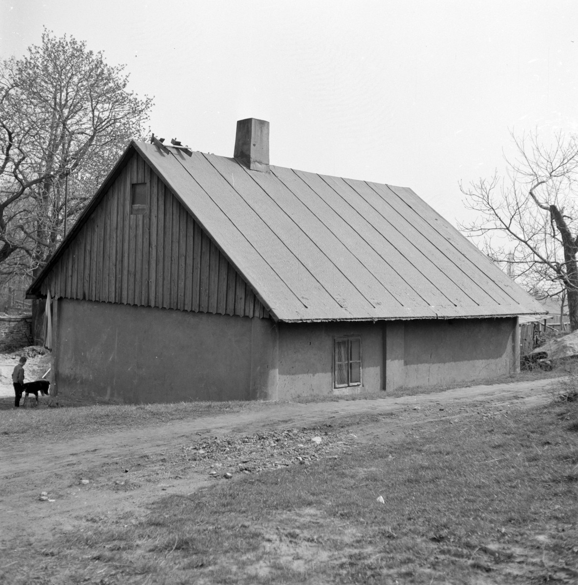 dom - elewacja, skan 1