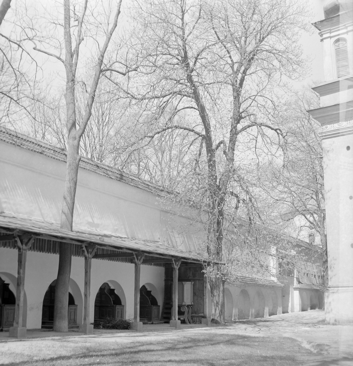 zespoł klasztorny Bernardynów - mury obronne: fragment zachodni, widok od wnętrza, skan 1