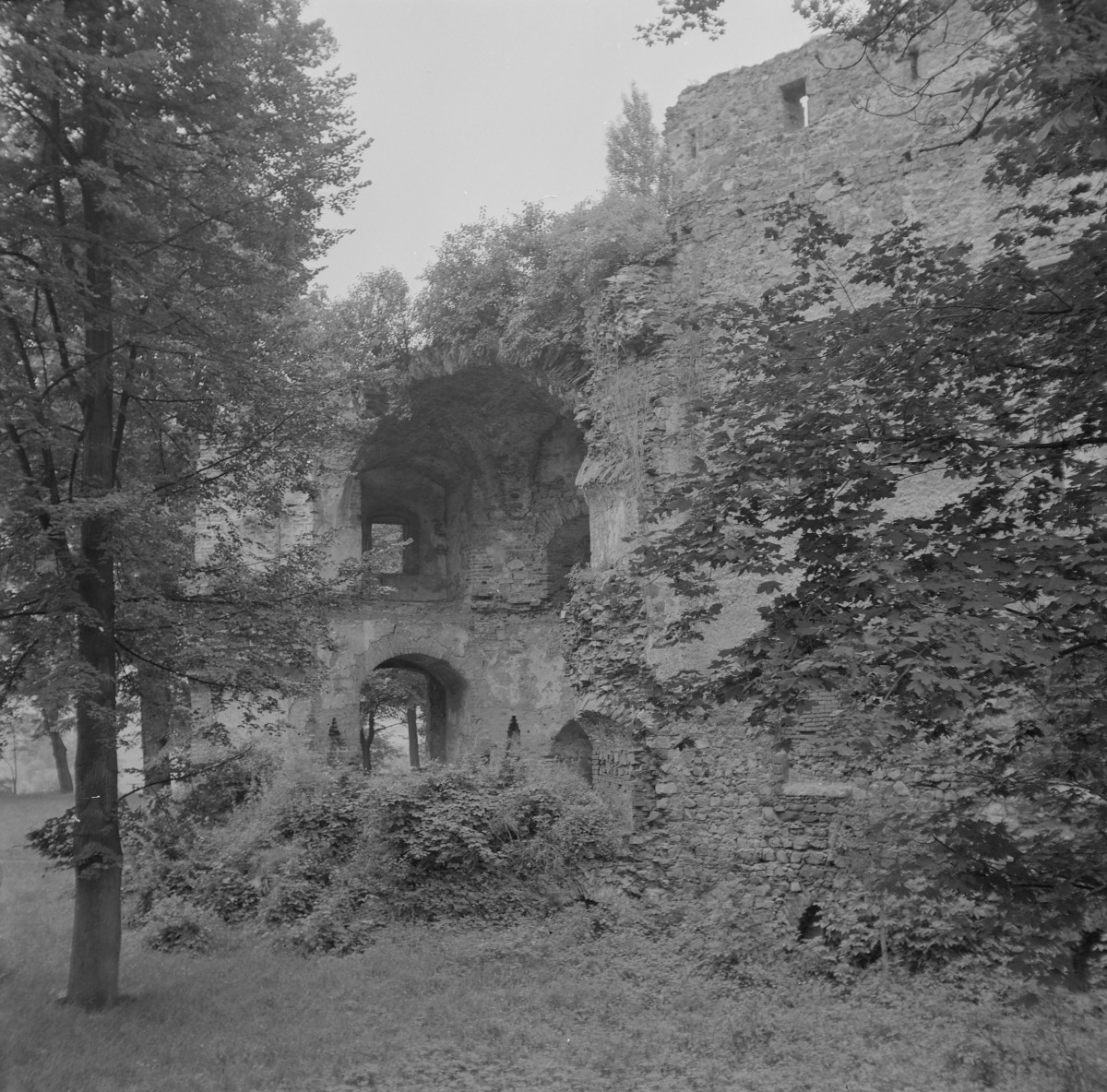 Zamek. Ruiny. Widok od strony dziedzińca, fragmenty skrzydła zach., skan 1