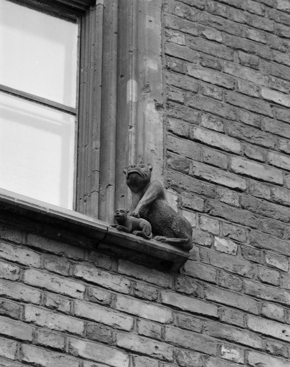 Ratusz - elewacja wsch. maszkaron , skan 1