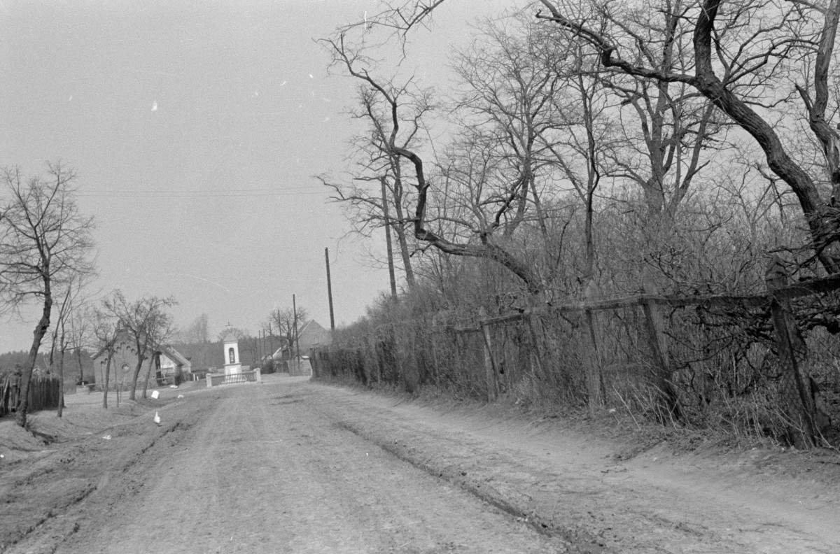 pałac - park krajobrazowy - kapliczka na skrzyżowaniu dróg, skan 1