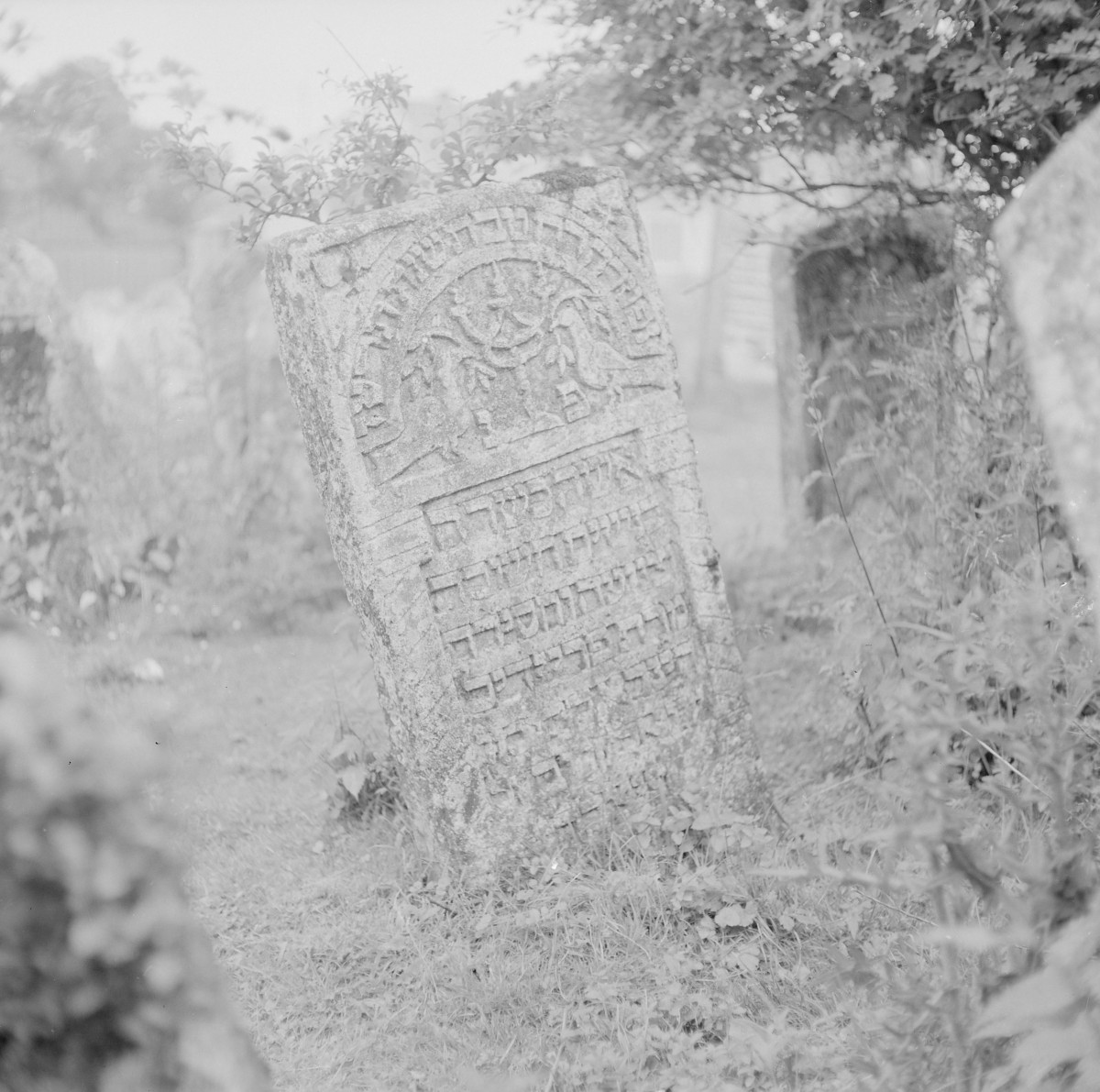 Cmentarz, Kirkut - macewy, skan 1