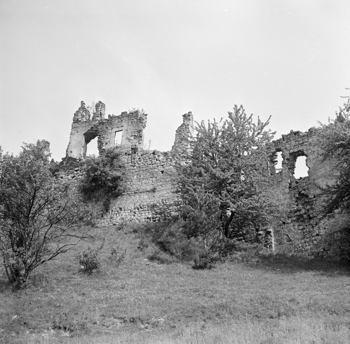 zamek Kamieniec - fragment murów strona zewnętrzna, skan 1