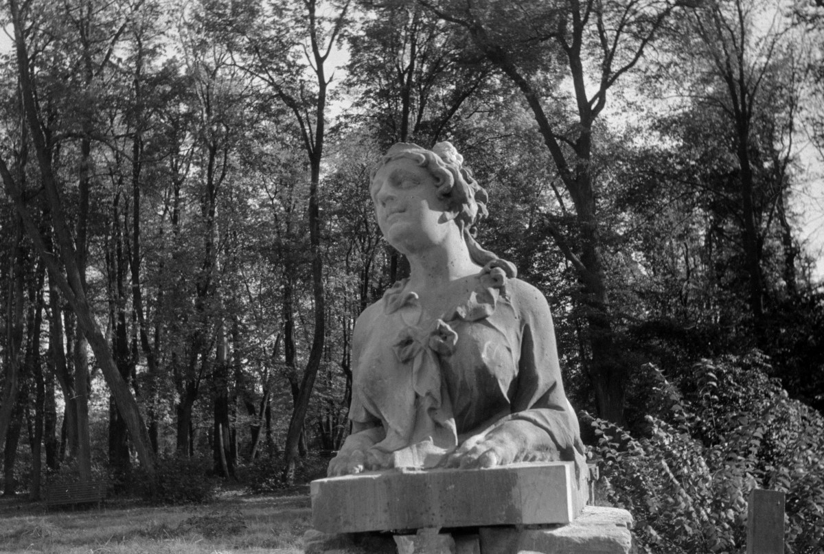 pałac Branickich - rzeźba z tarasu parkowego, skan 1