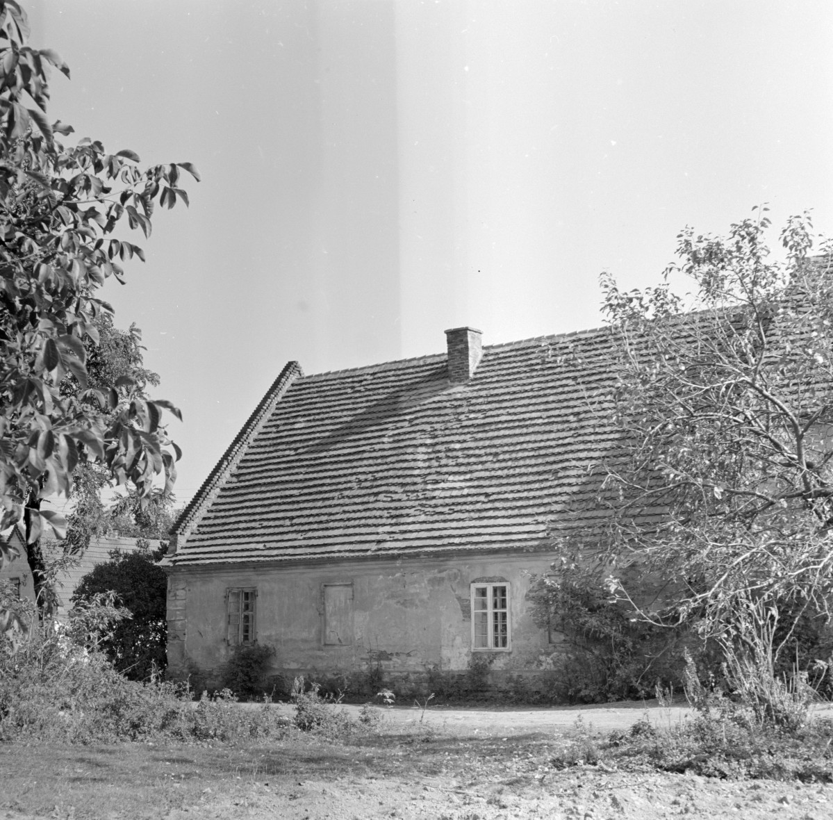 dom nr 101 (ob. 93) - elewacja tylna, skan 1