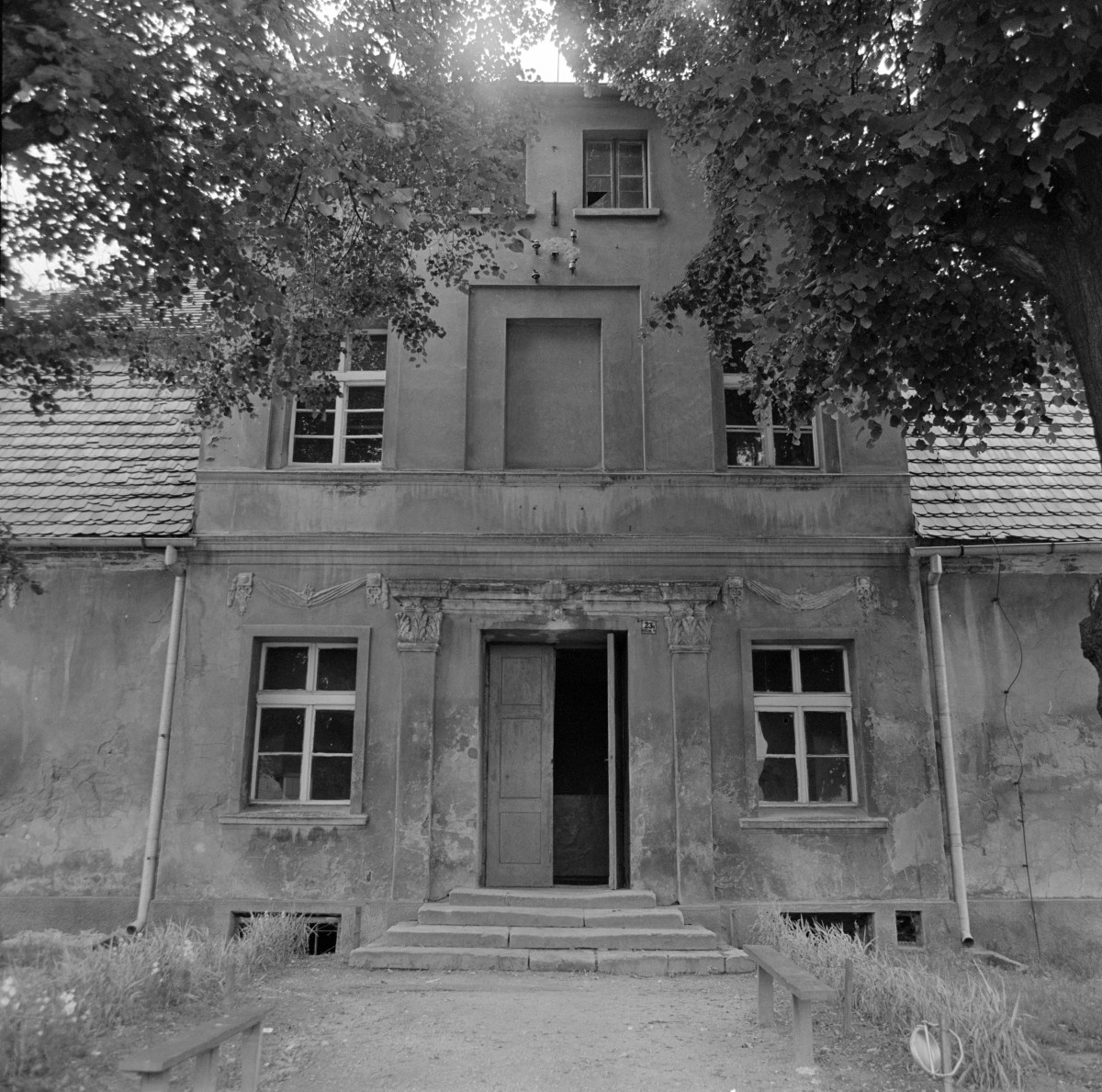 pałac (początek XIX w.) - elewacja frontowa, wejście, skan 1