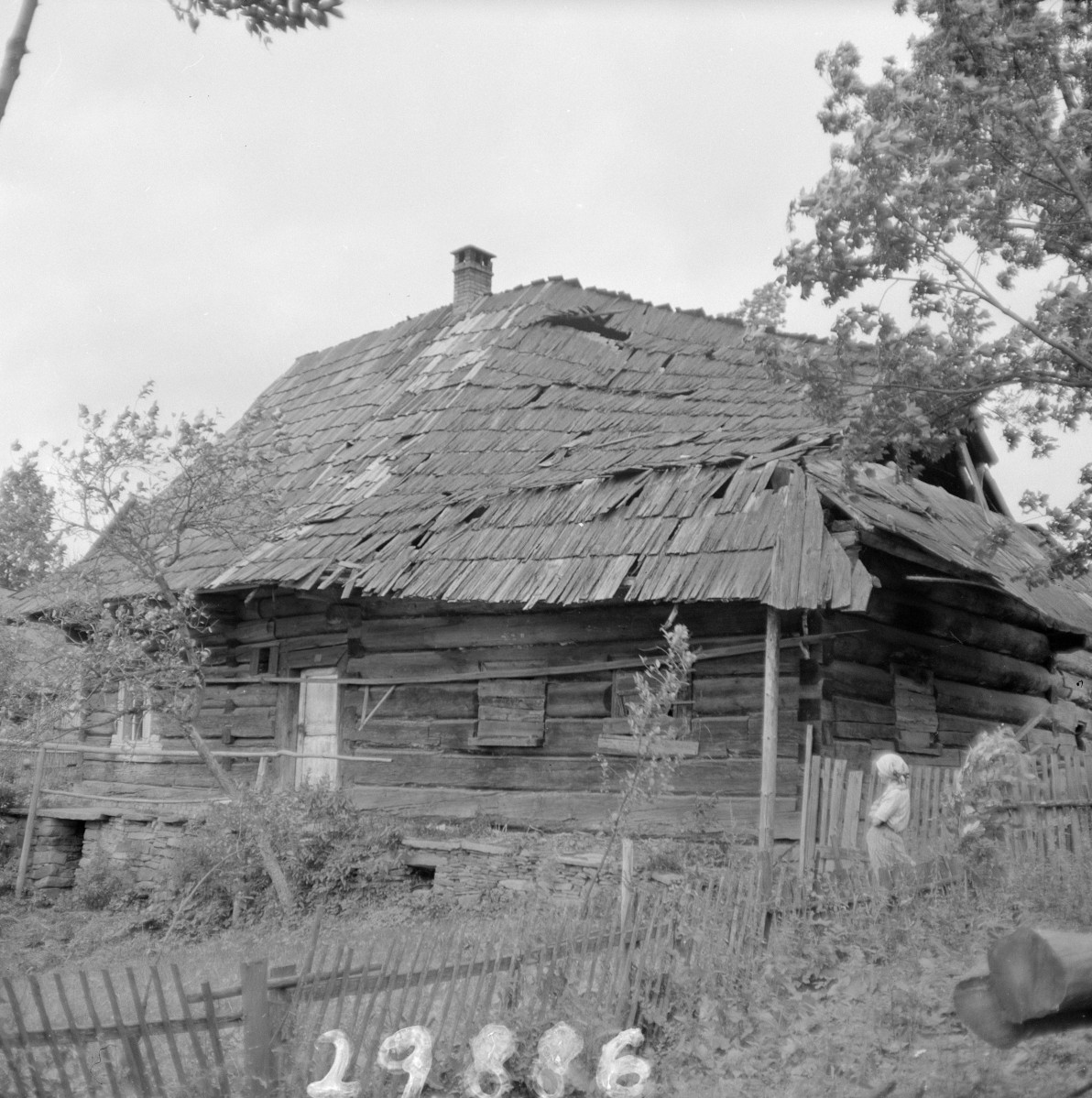 chata - elewacja tylna, skan 1