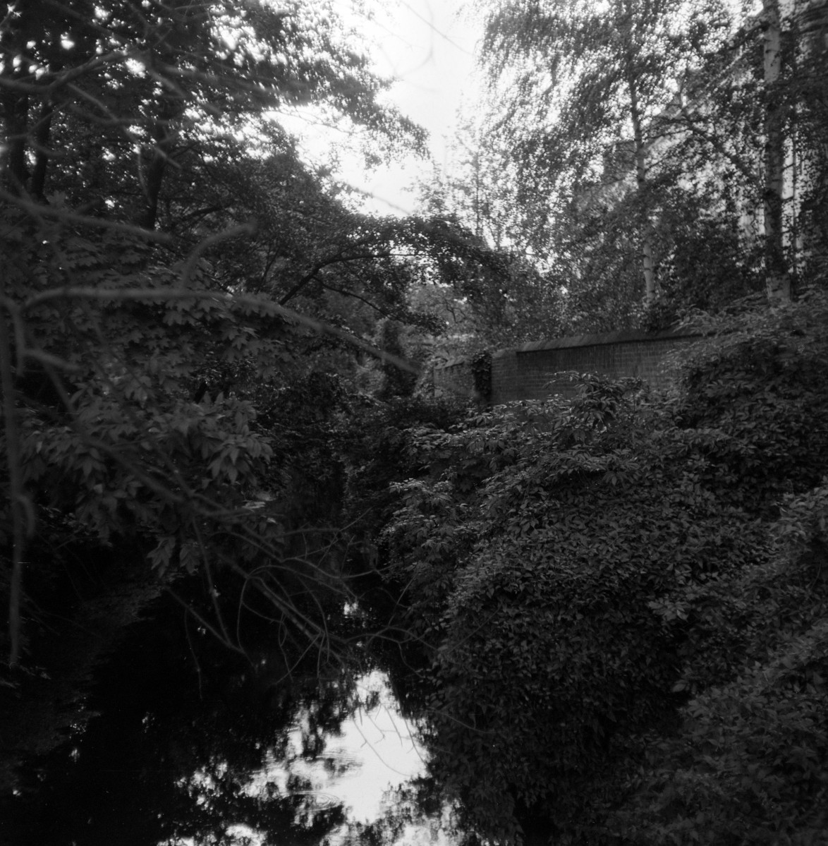 wały ziemne oraz fosa - pozostałości umocnień - fragment, skan 1