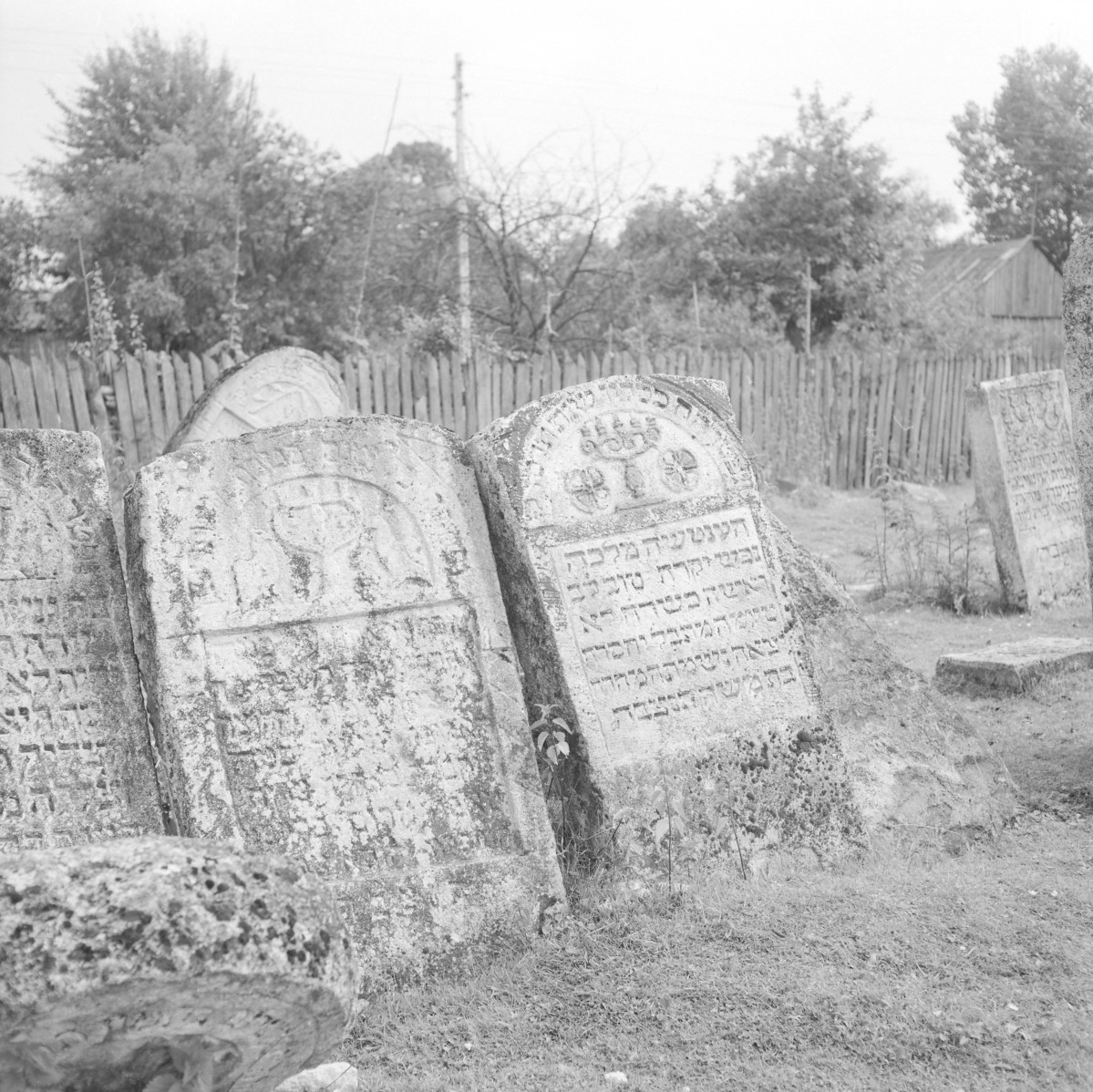 Cmentarz, Kirkut - macewy, skan 1