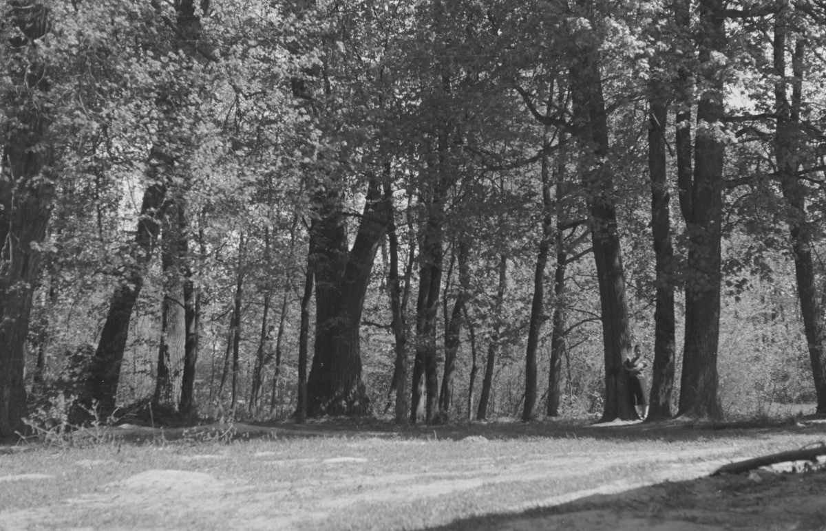 park, skan 1