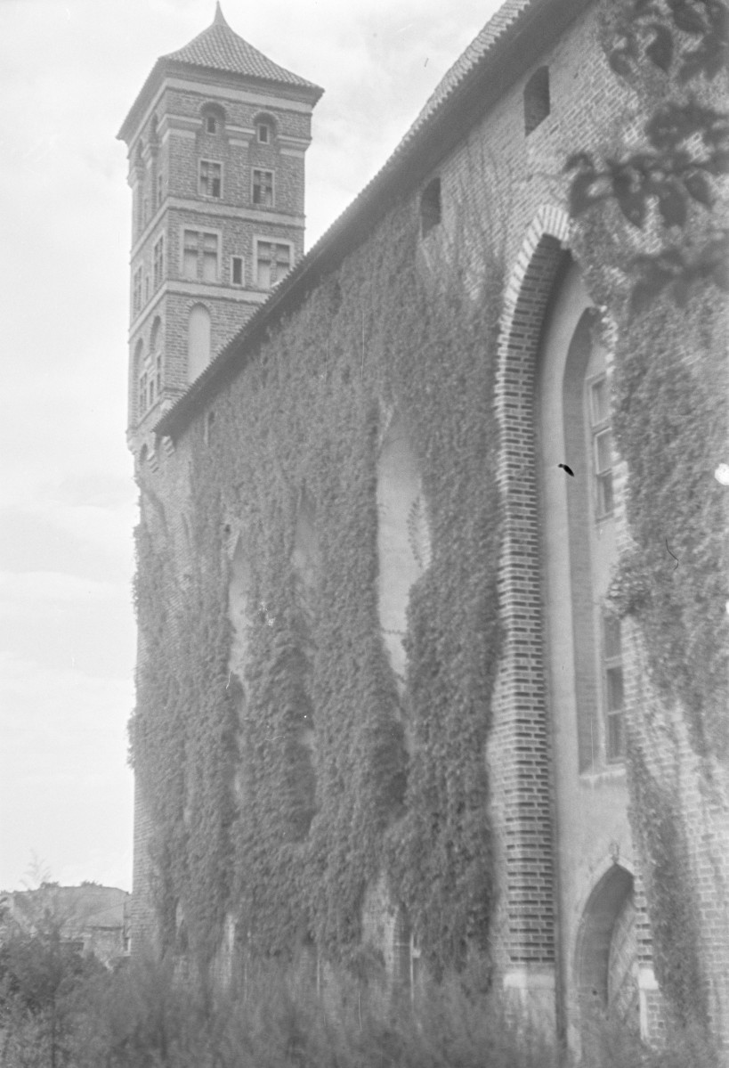 zamek - elewacja, skan 1